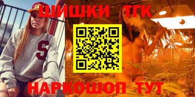 тгк Бердск