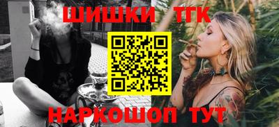 тгк Бердск