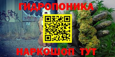 тгк Бердск