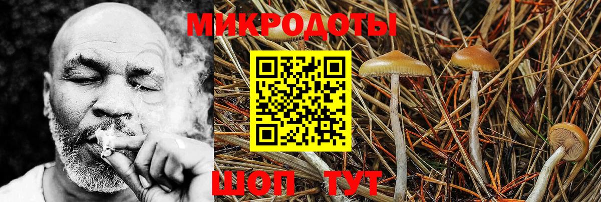 Маркс  Псилоцибиновые грибы мицелий  Вход с VPN 