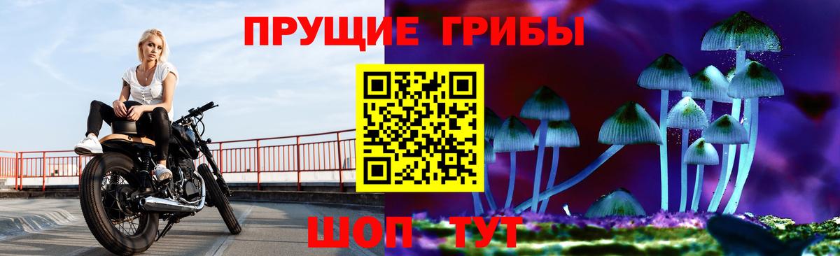Галлюциногенные грибы мухоморы Маркс